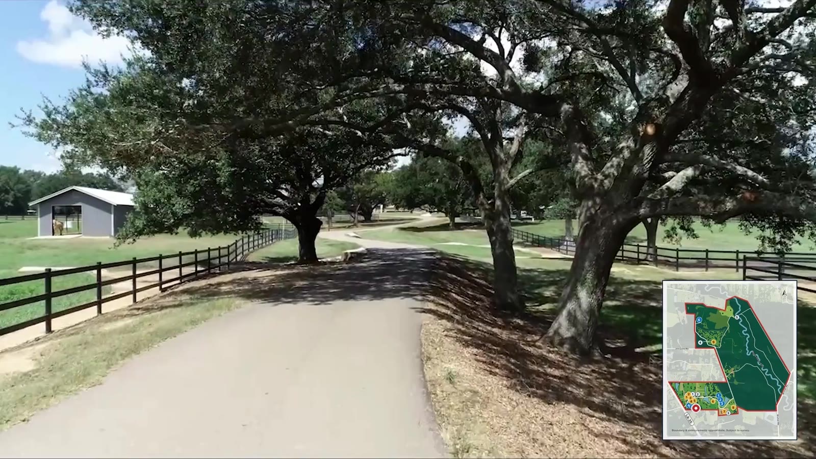 The oak-lined drive into Twin Hills Ranch, the opening frame of the property film