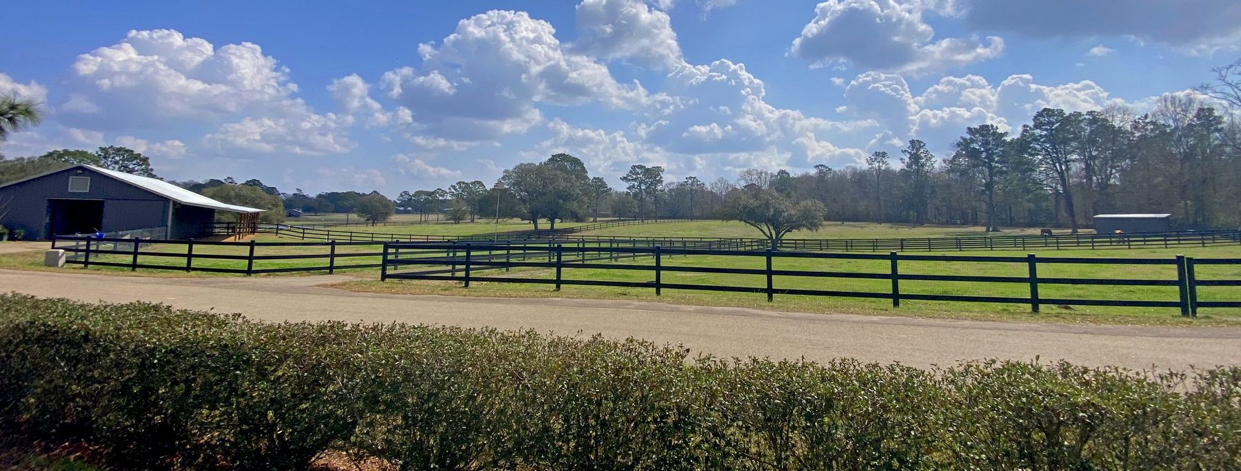 Board-fenced pastures and paddocks running to the tree line at Twin Hills Ranch