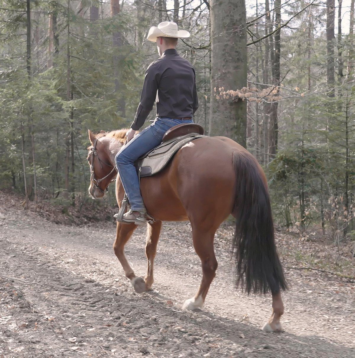 Rider on a wooded trail at Twin Hills Ranch